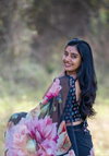 MG 353 Printed Daily Wear Sarees Wholesale Market In Surat With Price