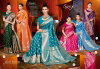 Virangana Silk Vol 2 By Saroj Silk Surat Occasion Wear Saree Wholesale Market