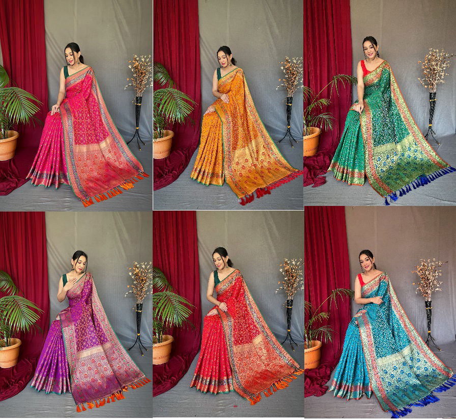 Bandhej Ptola 2 Colors Pure Silk Sarees Catalog