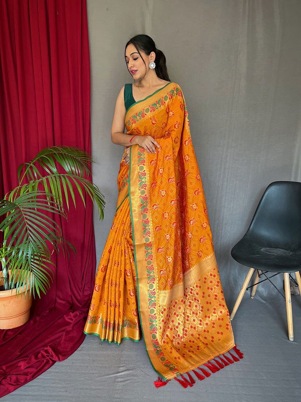 Katchhi Patola Colors Designer Sarees Catalog