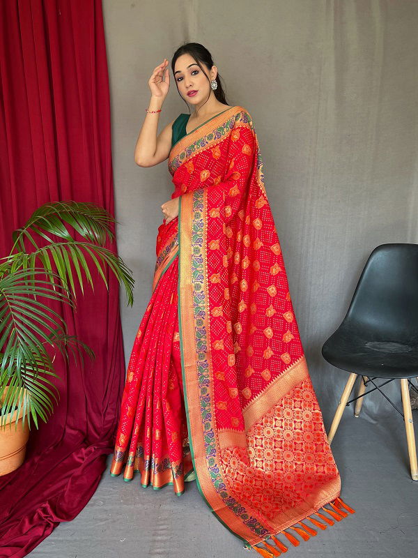 Katchhi Patola Colors Designer Sarees Catalog