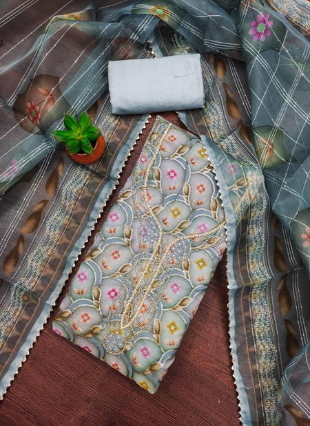Color Set 9070 Casual Wear Organza Printed Dress Material | Wholesalers In Delhi
