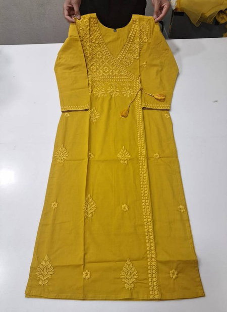 Tanyaa 263 Casual Wear Lucknowi Designer Fancy Kurtis Exporters In India