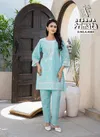 Afsana Primata Cotton Embroidered Co Ord Set Wholesale Online