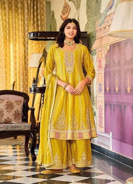 Ragini By Eba Chinon Embroidery Work Festival Wear Readymade Collection Online Wholesale