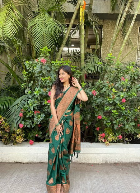 Satani 35013 Banarasi Soft Silk Surat Occasion Wear Saree Wholesale Market