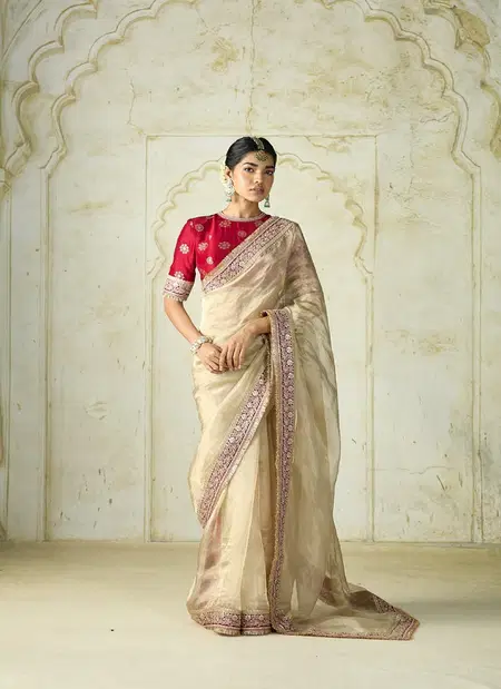 Bt 1300 Rangoli Crush Silk Beautiful Sequans Emboidery Worked Saree Online Wholesale