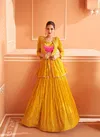 5319 Kalishta Nx By Sayuri Chinon Silk Wedding Wear Indo Western Lehenga Wholesale Market In Surat
