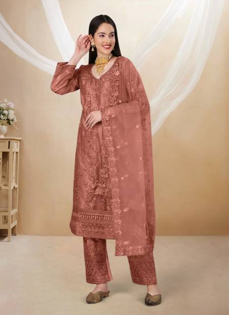 Brown Colour Ahanaa By Biva Designer Salwar Suit Catalog 30019