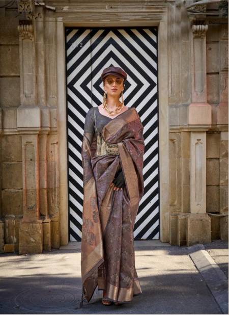 Brown Colour Kalki By Rajtex Handwoven Two Tone Organza Sarees Wholesale Shop In Surat 384003