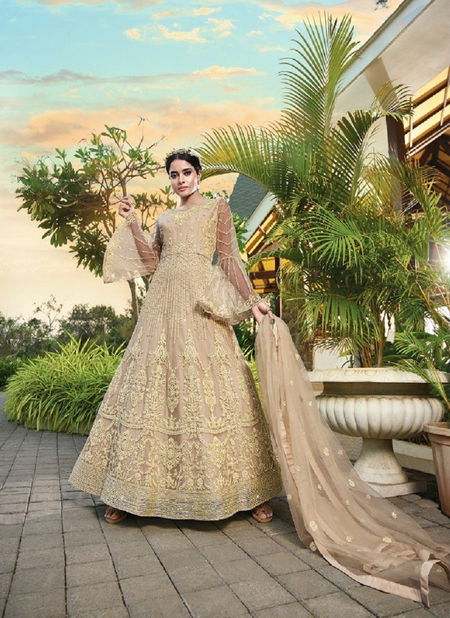 Chikoo Colour Florence By Fiona Designer Gown Catalog 22924 Catalog