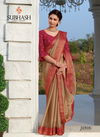 Chikoo Subhash Spash vol4 Heavy border and Embroidery Work Blouse Designer Heavy Partwear Saree with Dupian Blouse 32505