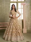 Chiku Colour Chandrakala Vol 02 By Narayani Butterfly Net Designer Chinon Salwar Kameez Wholesale Price In Surat 7010