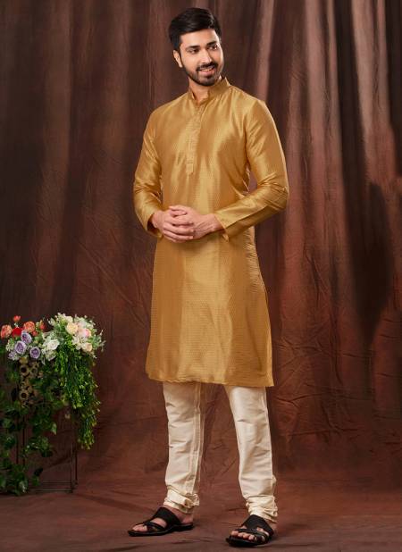 Golden Akshat By Styleroof Festive Wear Kurta Pajama Catalog 1552 7