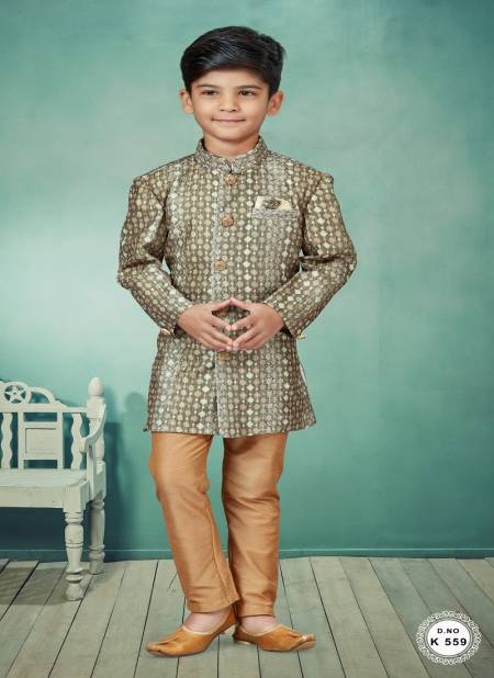 Gray Mix Colour Kids Indo Western Sherwani Catalog K 559