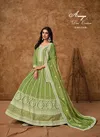 Green Colour Aanaya Vol 214 By Dani Dola Silk Designer Gown With Dupatta Wholesale Online 214 A