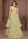 C 2201 Party Wear Wholesale Designer Lehenga Choli