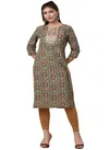 Green Colour Raisin Women's Rayon Embroidered Casual Daily Wear Kurti Catalog OLKUR0008