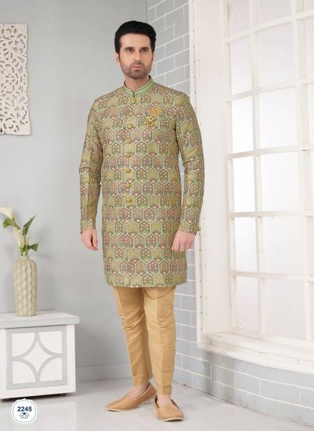 Green Multi Colour Designer Party Wear Indo Western Suppliers In India 2245