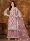 Light Brown Colour Vaani Vol 30 Festive Wear Wholesale Designer Salwar Suits 303