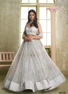 Light Gray Colour Chandrakala Vol 02 By Narayani Butterfly Net Designer Chinon Salwar Kameez Wholesale Price In Surat 7007