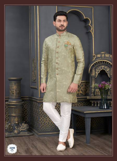 Light Green Colour Designer Party Wear Indo Western Suppliers In India 2259