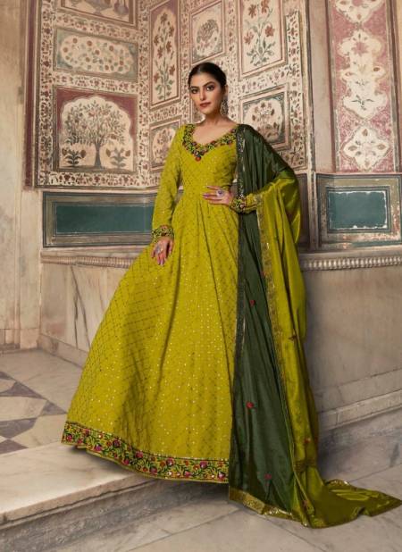 Lime Green Colour Flory Vol 30 By Shubhkala Gown Catalog 4864
