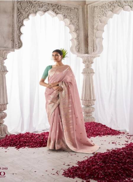 Pink Colour Asiyana By Kimora Silk Designer Wedding Wear Saree Catalog SA-249