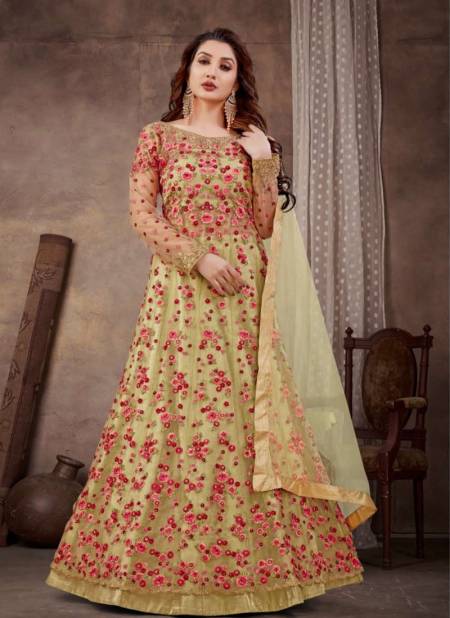 Pista And Red Raazi Nirja By Raama Fashions Gown Catalog 10068
