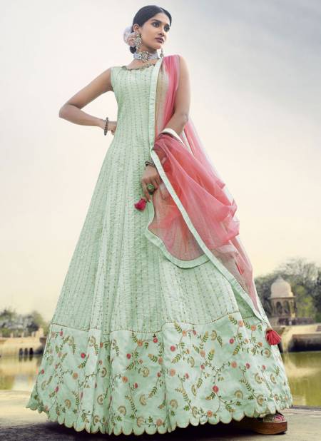 Pista Color Kadambari By Virasat Gown Catalog 1001