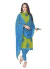 Mehandi Color Rahul NX Maharani 1003 Soth Cotton Embroidery Salwar Suit 1003