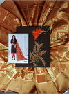 Coffee Color Rahul NX Sakshi Traditional Handwork Salwar Suit 1005