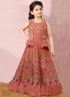 Rajani Georgette Wholesale Girls Wear Catalog Light Brown 2