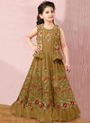 Rajani Georgette Wholesale Girls Wear Catalog Mehndi 4