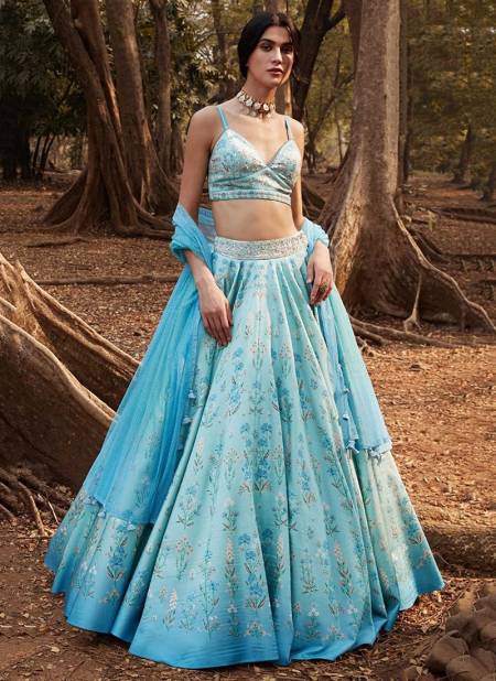 Exquisite Sky Blue Color Soft Net Base Flared Lehenga Choli – Fabvilla