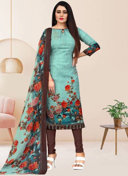 Sky And Brown Colour Rajnandini Ethnic Wear Wholesale Designer Salwar Suit Catalog 4102