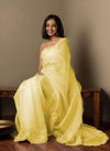 Amar Rainbow Organza Silk Embroidery Work Designer Party Wear Festival Saree Collections