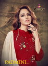 Arion Padmini Vol 2 Latest Collection Of Ready Made Designer Viscouse With Handwork Casual Wear Dress With Viscose Seded Dupatta