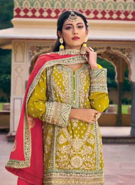 Avani By Your Choice Chinon Wedding Salwar Suits Catalog
 Catalog