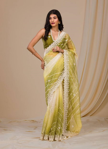 BT 1209 Embroidery Georgette Party Wear Sarees Wholesale Shop In Surat