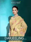 Darjeeling Vol 2 By Vallabhi Georgette Daily Wear Sarees Surat Wholesale Market