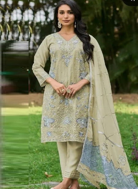 Deepsy D 385 A To D Organza Pakistani Suits Wholesale Price In Surat Catalog