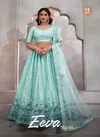 Eeva Vol 1 By Tt Butterfly Net Party Wear Lehenga Choli Wholesale Online