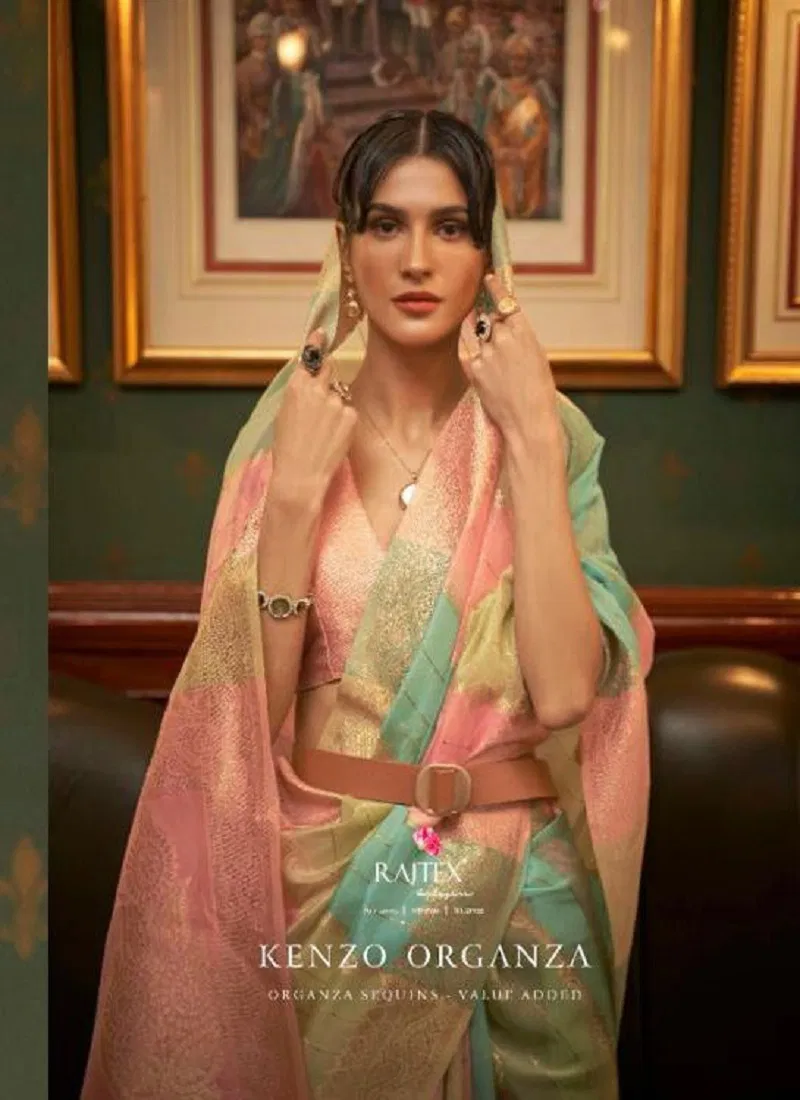 Kenzo Organza By Rajtex Casual Saree Wholesale Market In Surat Catalog