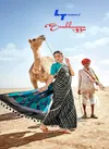 LT Soubhagya Latest Daily Wear Casual Wear Rich Look Pallu Cotton Silk Saree Collection 