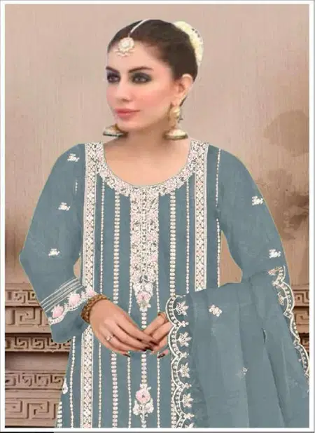 Mah E Rooh 4127 Embroidery Organza Pakistani Suits Wholesale Market
