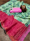 Mihira 53 Wholesale Printed Chiffon Non Catalog Sarees