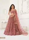 Muave Colour Kelaya Vol 5 By Narayani Butterfly Net Designer Party Wear Lehenga Choli Wholesale Price