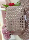 New Festive Wear Latest Women Clutches