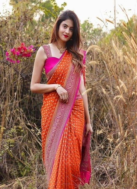 Premvati By Aab Designer Soft Lichi Silk Saree Suppliers In India